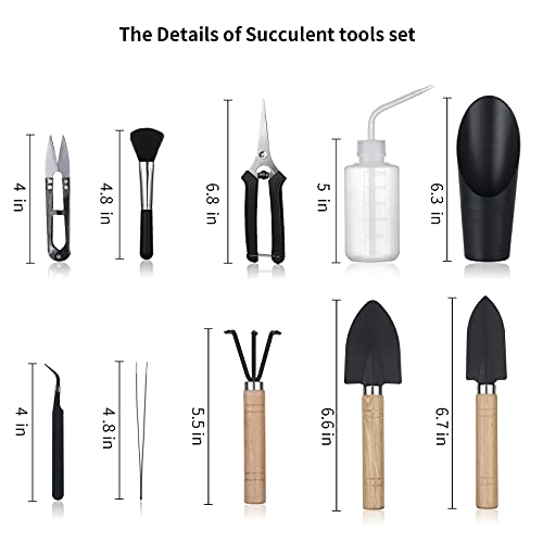 11-Piece Succulent Instrument Set: Mini Gardening Instruments and Watering Gear for Plant Care, Supreme for Seedlings, Succulents, Houseplants, and Present Giving