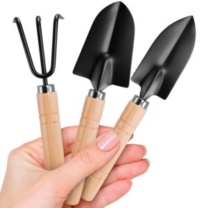 3-Piece Ergonomic Backyard Instrument Set – Hand Shovel, Trowel, and Small Rake for Planting and Edging – Sturdy Instruments for Indoor and Outside Gardening