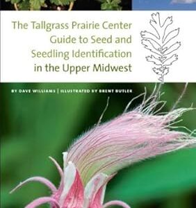 Bur Oak Information: Figuring out Seeds and Seedlings within the Higher Midwest – A Tallgrass Prairie Heart Useful resource