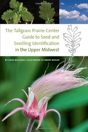 Bur Oak Information: Figuring out Seeds and Seedlings within the Higher Midwest – A Tallgrass Prairie Heart Useful resource